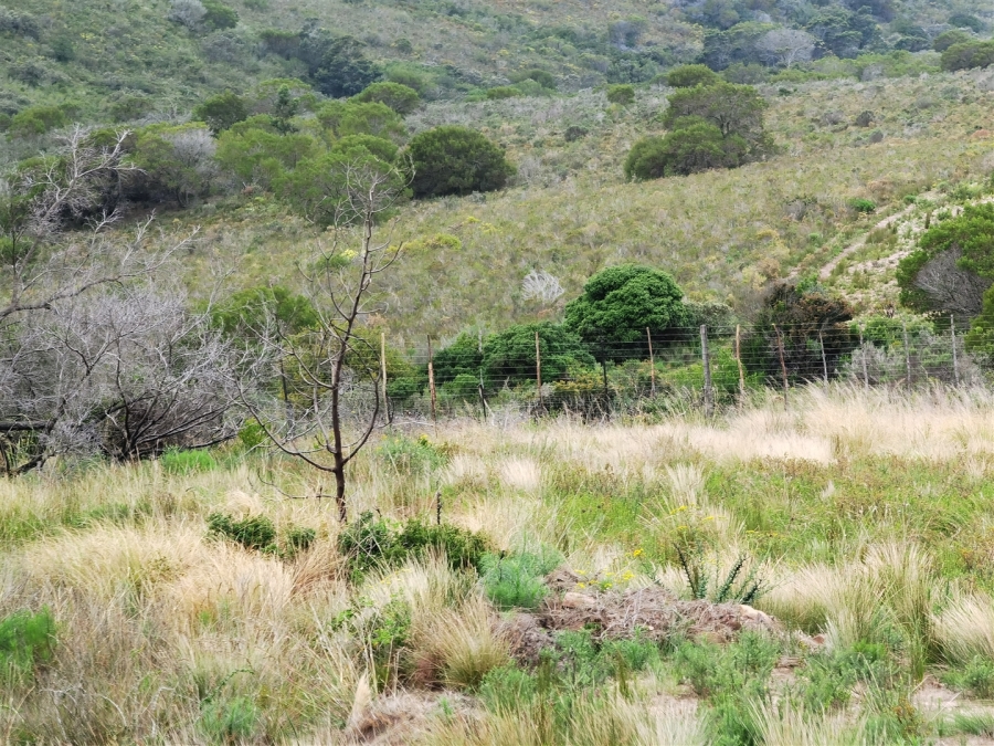 0 Bedroom Property for Sale in Kabeljauws Eastern Cape